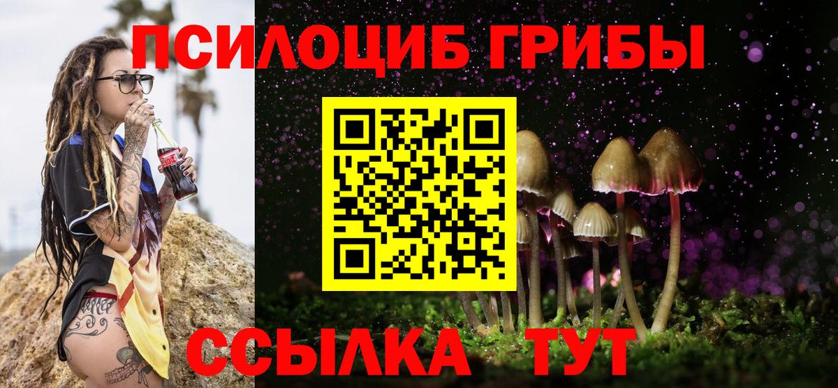 Галлюциногенные грибы мухоморы  Псилоцибиновые грибы мицелий  цены наркотик  Вход с VPN  Александров 